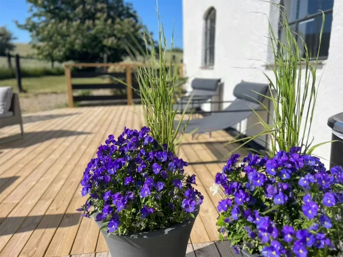 STF Backadal Gård B&B Ystad