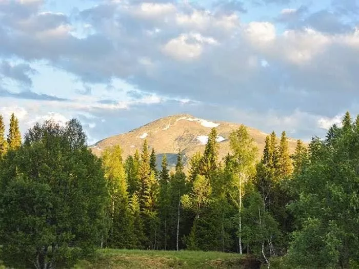 STF Enaforsholm Fjällgård