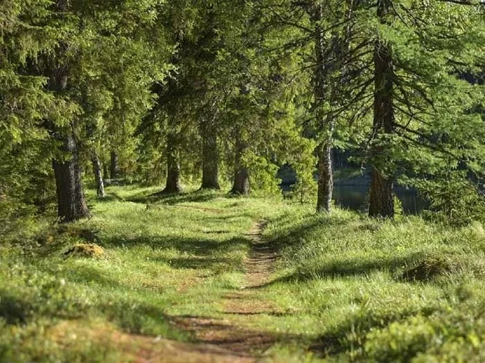 STF Enaforsholm Fjällgård