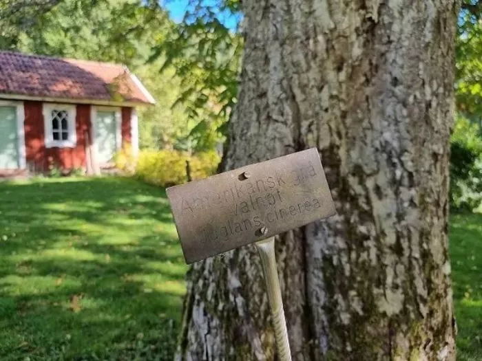 STF Herrgård de luxe