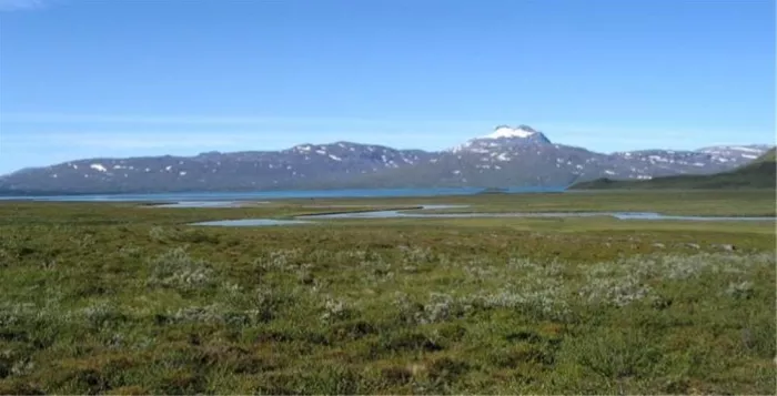 STF Pieskehaure Fjällstuga