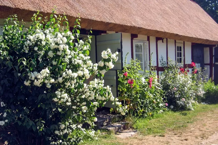 STF Vandarhem Haväng