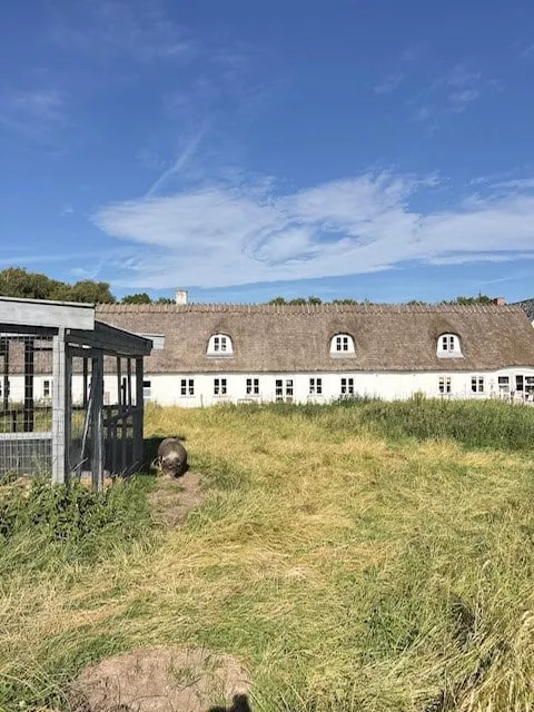 Danhostel Tisvildeleje