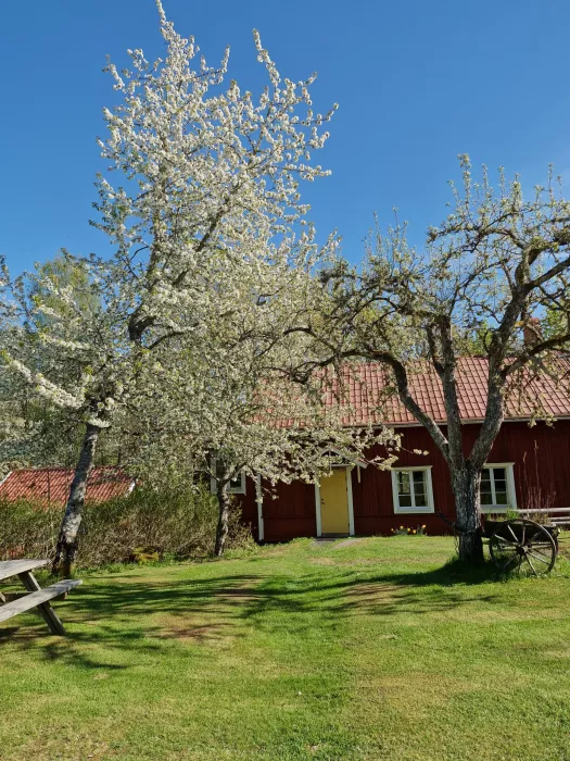 Björkfors Kajak & Hostel