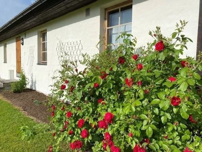 STF Medskog/Östra Ämtervik vandrarhem